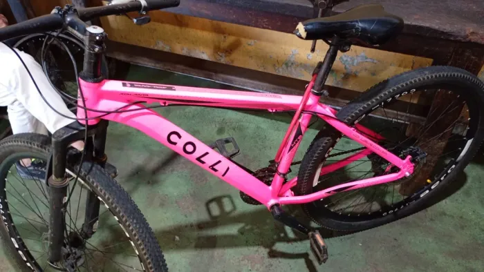 Bicicleta aro29 rosa 