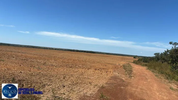 Fazenda à Venda em Figueirópolis TO | 183 Alqueires | 450 Há em Lavoura