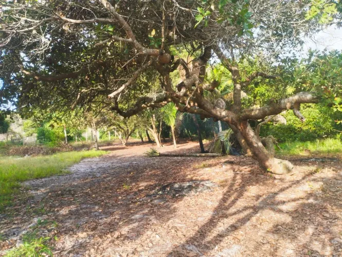 TERRENO EM NOVA VIÇOSA BA