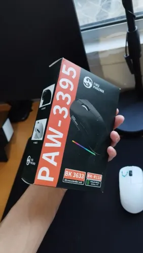 Fire Phoenix bk-r11x