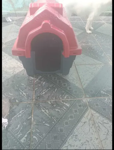 Casinha de cachorro