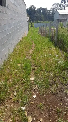 Terreno em Piraquara 