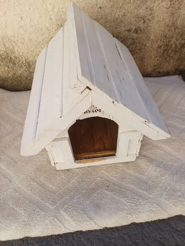 Casinha pet