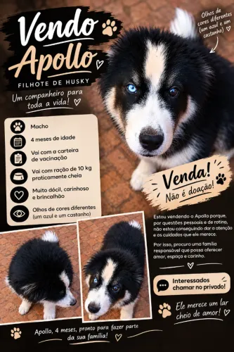 Husky a venda