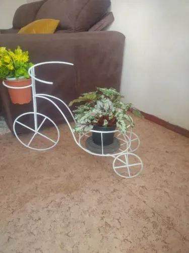 Bicicleta Artesanal Jardim