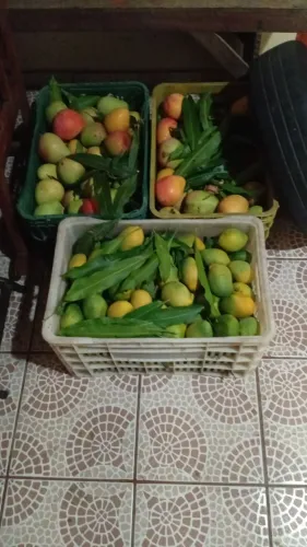 Manga ? Rosa e Espada 