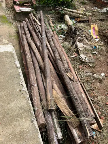 Toras de Madeira 