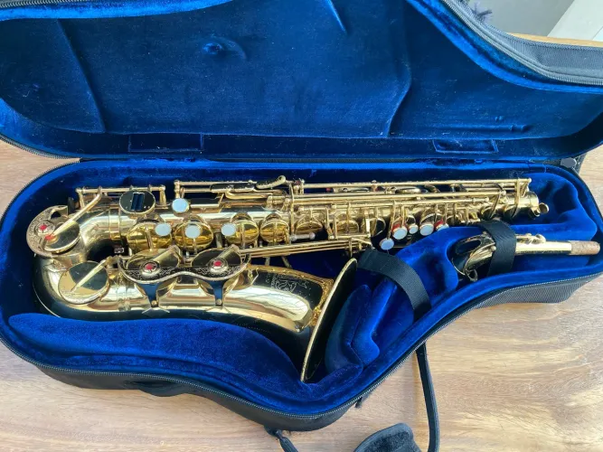 Sax Alto Amati Kraslice 