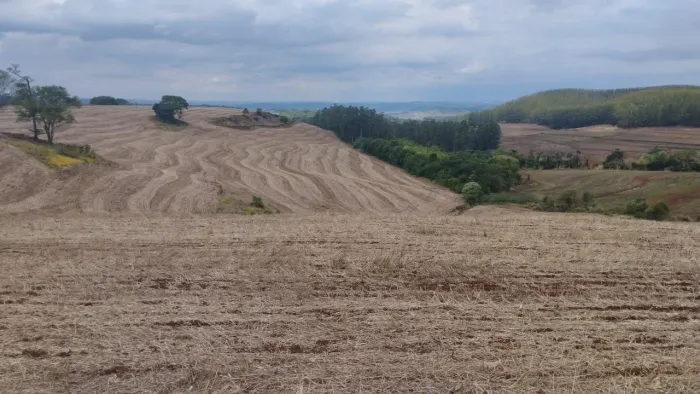 Fazenda 1+4 anos para pagar