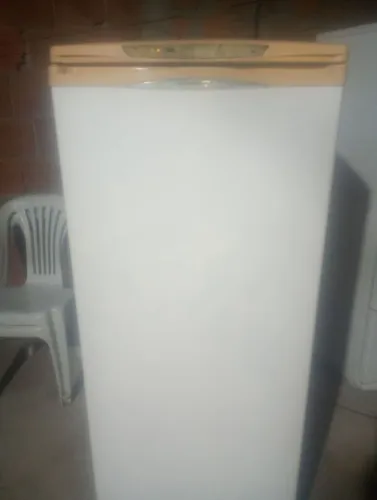 Vendo uma freezer toda boa ZAP *21
