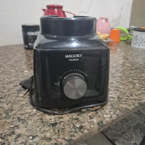 MOTOR DE LIQUIDIFICADOR MALLORY TAURUS