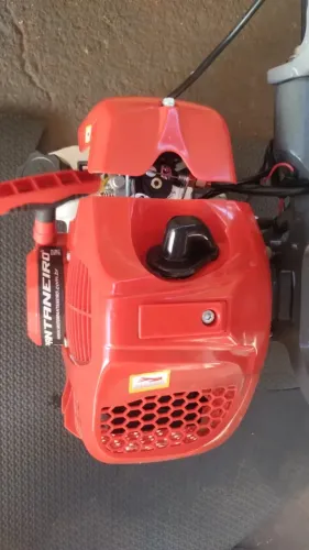 Motor pantaneiro hélice 3,5 HP