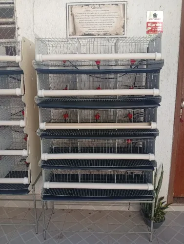 gaiola pet shop