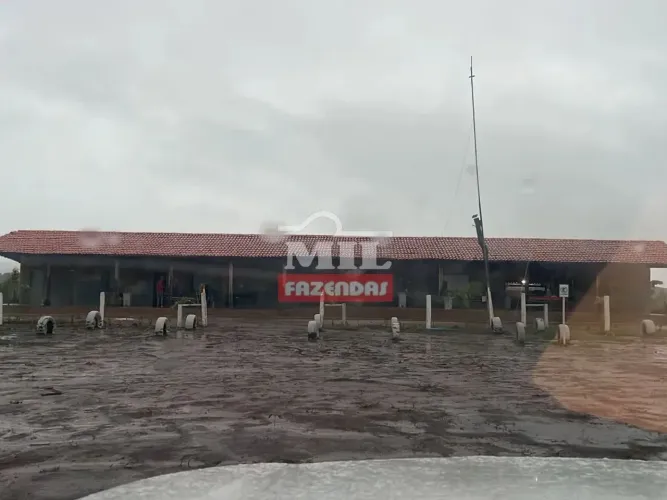 Fazenda 4.900 Hectares em Passagem Franca Maranhão.