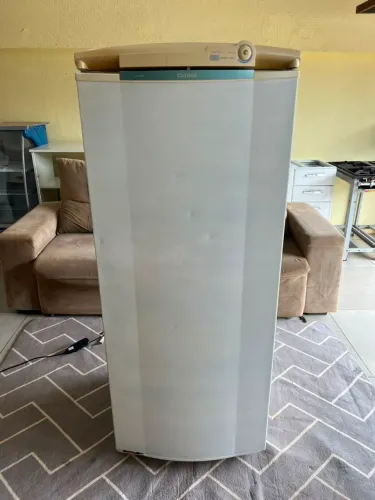 Geladeira Consul 280 litros completinha ((ENTREGO GRATIS))