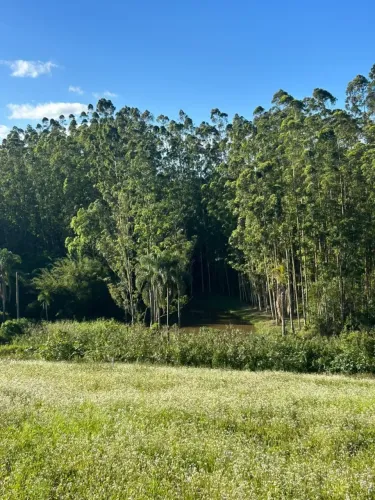 Imóvel para venda tem 500 metros quadrados em Parque Caucaia (Caucaia do Alto) - Cotia - S