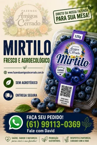 Mirtilo ?