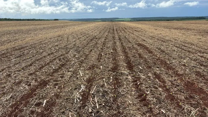 . Fazenda 122 alqueires município de Pedro Afonso Tocantins