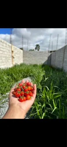 Terreno a venda na zona leste
