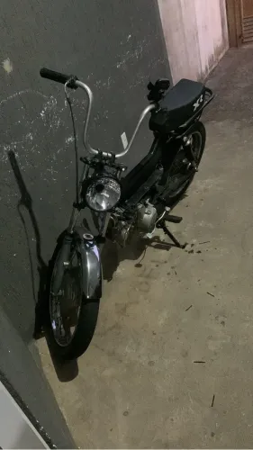 Pantera negra 