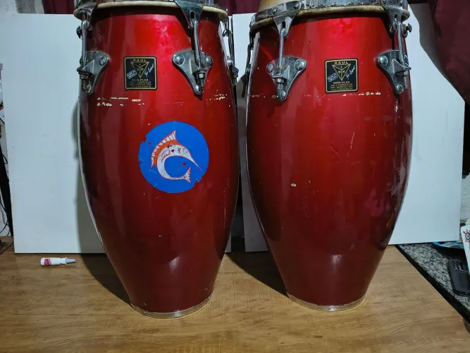 Congas raul