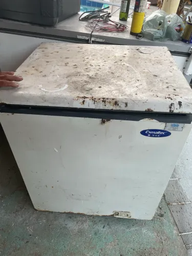 Freezer Electrolux 222litros