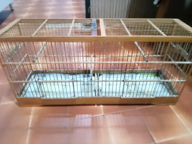 Voador 70cm