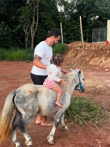 Mini horse /ponei mini cavalo 
