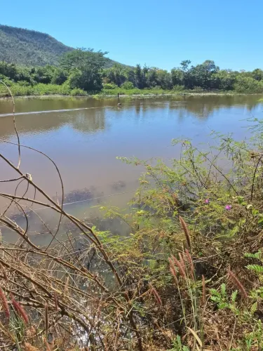 Fazenda de 114,7 hectares toda plana, toda cercada no arame liso com Rio de grande porte -