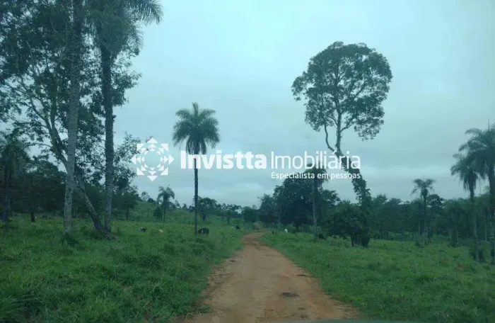 Fazenda à venda entre Palmas e Paraíso do Tocantins com 68,5 alqueires, dupla aptidão e ex