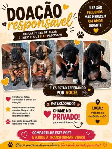 Doação