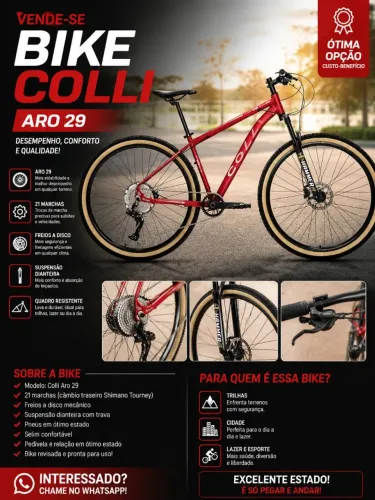 VENDO BICICLETA COLLI ARO 29