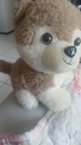 Dou esse cachorro de pelúcia 