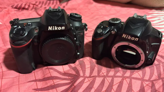 Nikon D7100 + D3200