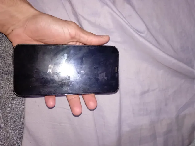 iPhone 12 Pro Max