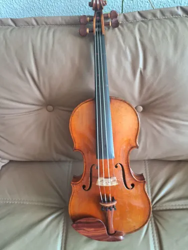 Violino 4x4