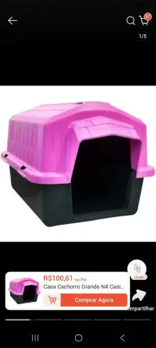 Casinha de cachorra