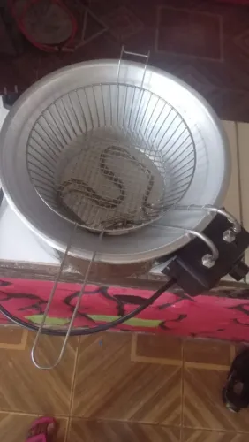 VENDO ESSA FRITADEIRA ELÉTRICA 150 REAIS