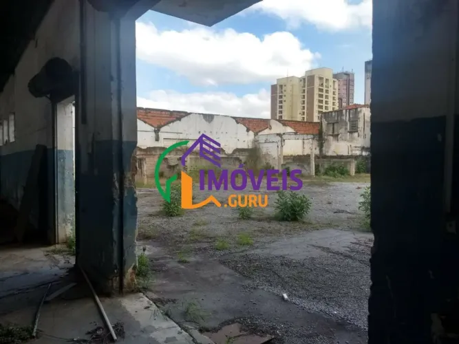 AREA - SANTANA - SP