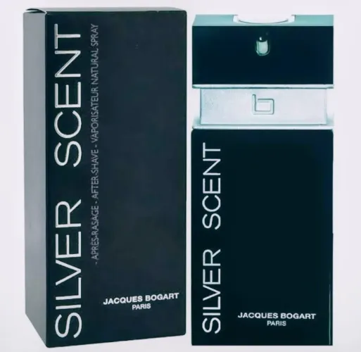 Perfume Silver Scent 100 ML