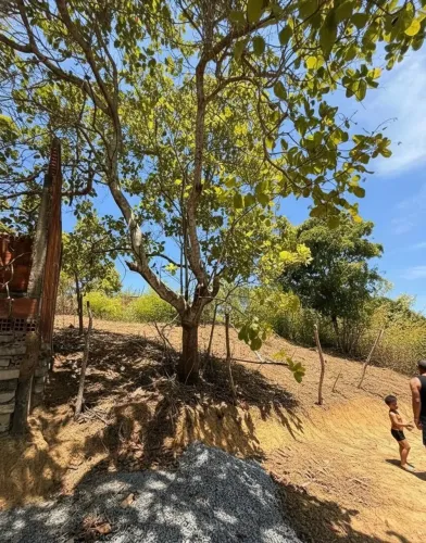 Terreno Em Guaxuma 