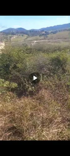Estou vendendo para poder comprar uma casa!!
