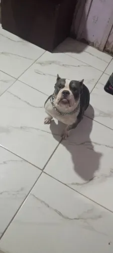 Minha bebê procurando um namorado 
