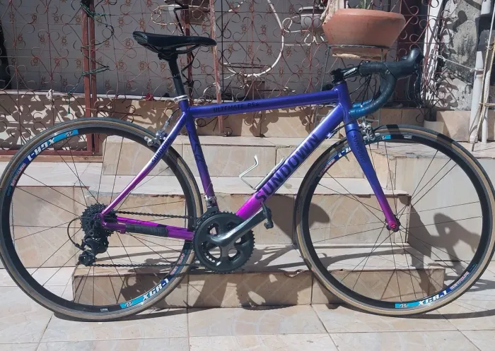 Bicicleta Speed Sundow tamanho 50, garfo de fibra de carbono 22 velocidades 