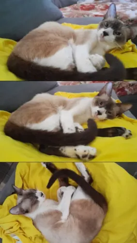 Doação 