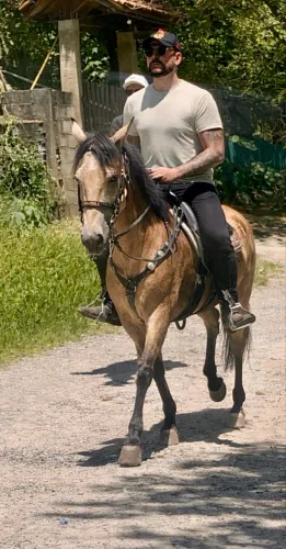 Cavalo - Égua Mangalarga Marchador Registrada 