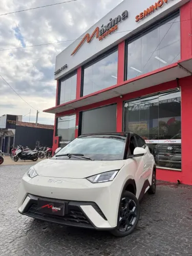 BYD Dolphin Mini (Elétrico) 2027