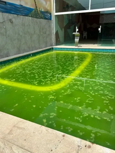 Limpeza e manutenção de piscina 