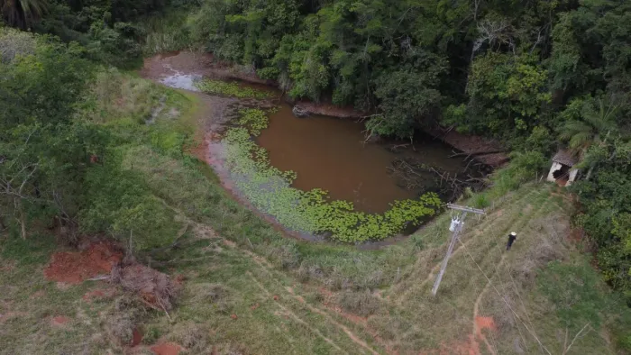 Fazendinhas rural em florestal