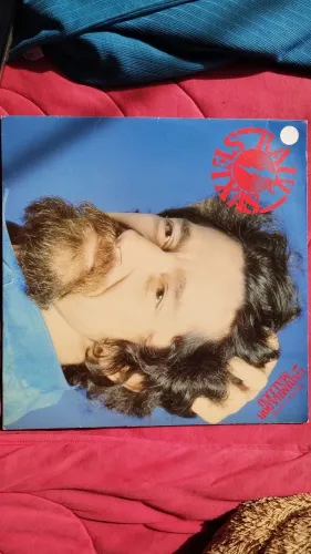 Disco de Vinil - Carimbador Maluco
